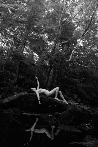 Reach for the sky Artistic Nude Photo by Model Kavita Ayana