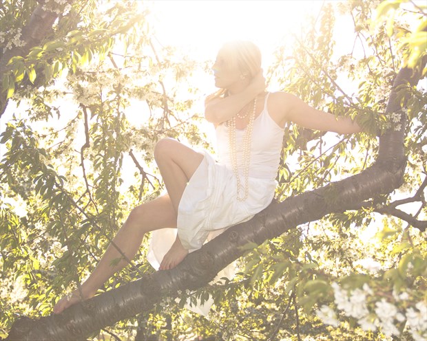 Rebecca in a tree Fashion Photo by Photographer EastAve