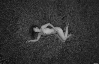 Rebecca in the Grass Artistic Nude Photo by Photographer Art Silva