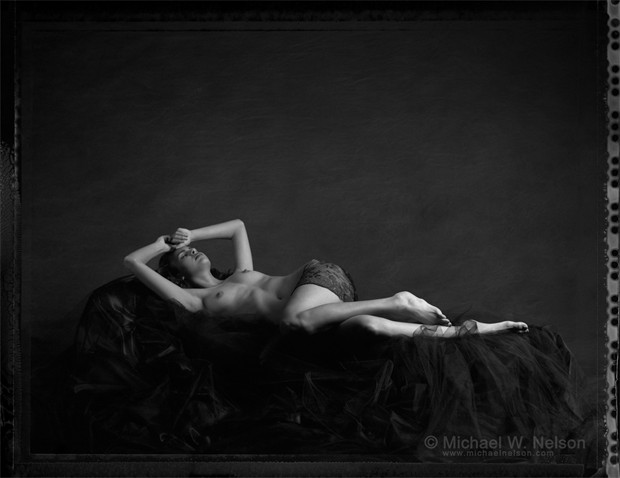 Reclining Figure %231 Artistic Nude Photo by Photographer Michael Nelson