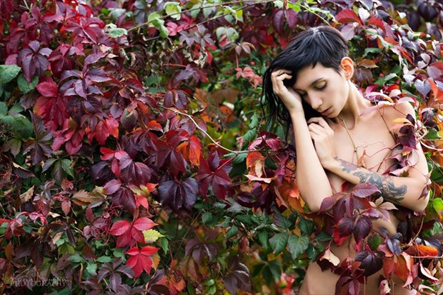 Red Leaves Artistic Nude Photo by Photographer Lucia Mondini