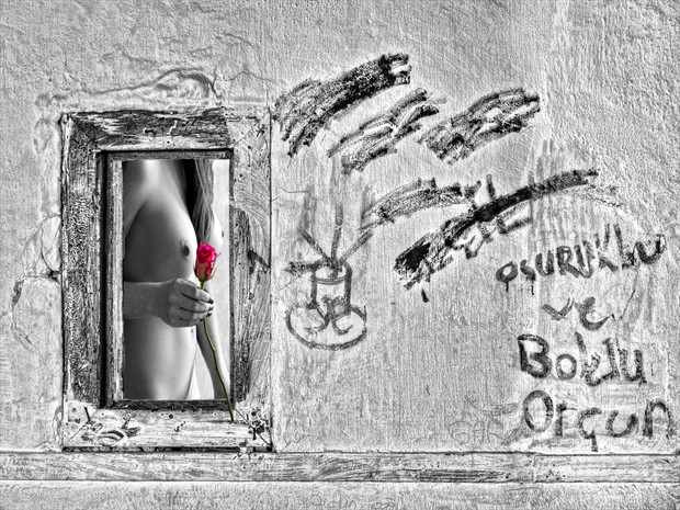 Red Rose Artistic Nude Photo by Photographer RobMillin
