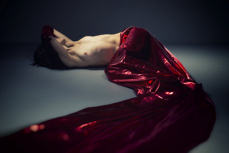 Red Silk Artistic Nude Photo by Photographer Terry Slater