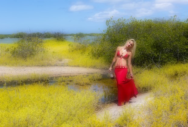 Red dress Nature Photo by Photographer Robearth