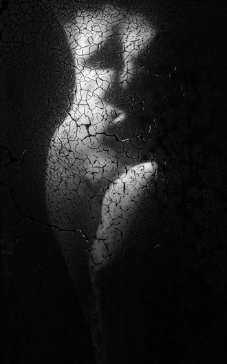 Reflection Artistic Nude Photo by Photographer Amedeus