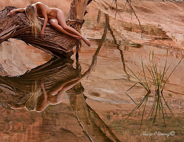 Reflections Artistic Nude Photo by Photographer Philip Young