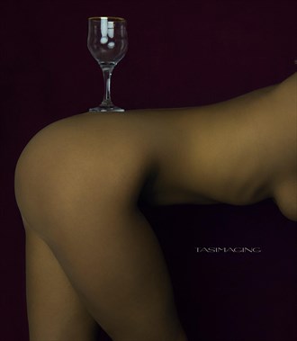 Relax, have a drink Artistic Nude Photo by Photographer Tas Memon