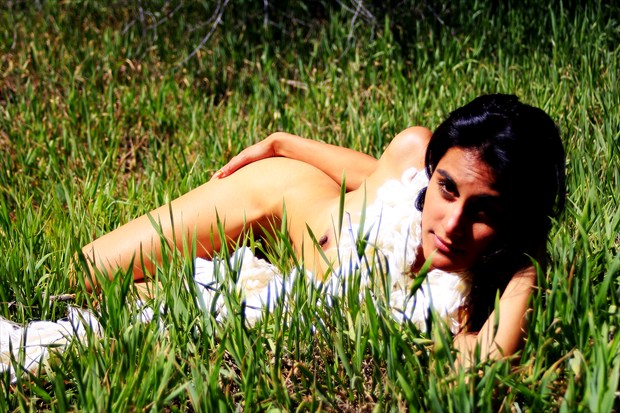 Relaxing in the grass Artistic Nude Photo by Photographer Izzy