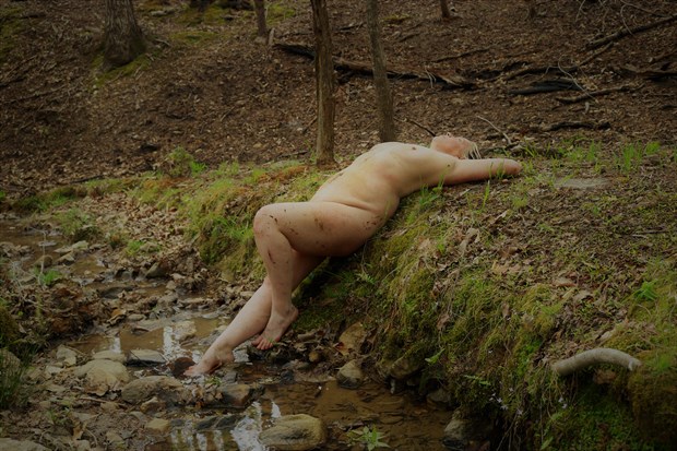 Relaxing on the moss Artistic Nude Photo by Photographer EnlightenedImagesNC