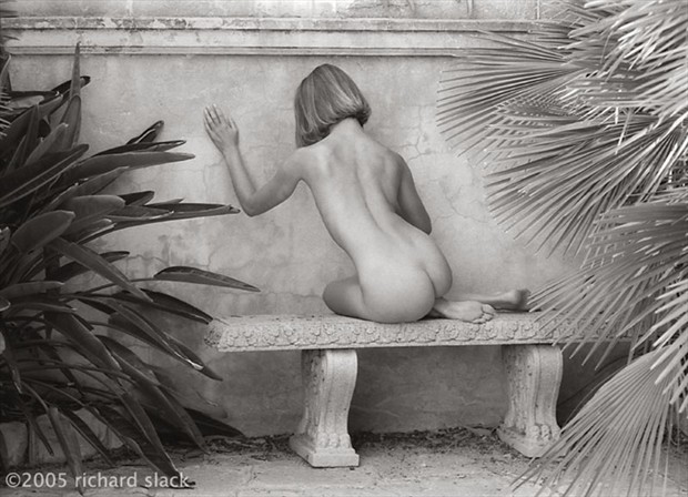Renee Artistic Nude Photo by Photographer RAS1