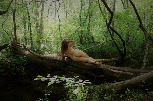 Resting on a log Artistic Nude Photo by Photographer EnlightenedImagesNC