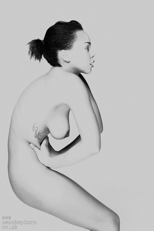 Reverse Artistic Nude Photo by Model Orderly Misconduct