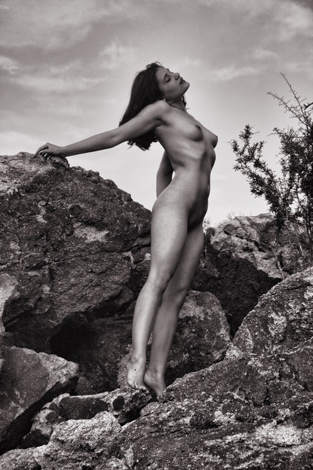 Rivi Madison Artistic Nude Photo by Photographer WildmanChuck