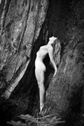 Rivka, Sequoia National Forest Artistic Nude Photo by Photographer blakedietersphoto