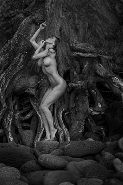Root of a lady Artistic Nude Photo by Photographer MarcBoilyPhotography