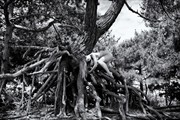 Roots%234 Artistic Nude Photo by Photographer BenErnst