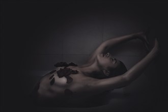 Rosas Erotic Artwork by Photographer Paula Bertr%C3%A1n