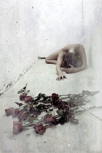 Roses Artistic Nude Photo by Photographer Jeff Levine