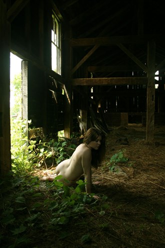Rustic Living Artistic Nude Photo by Photographer Farenell Photography