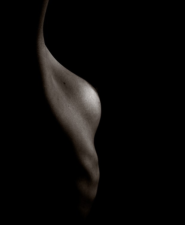 S Curve Artistic Nude Photo by Photographer DJLphotography