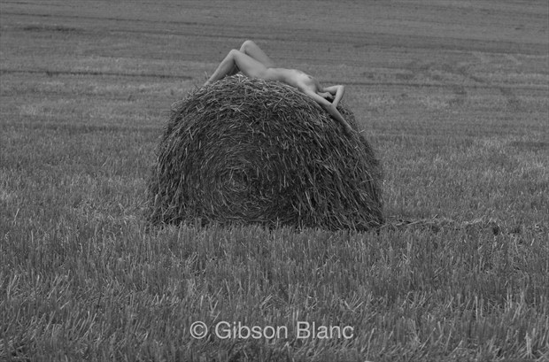 SJ Lonely Hay Bale Artistic Nude Photo by Photographer Gibson