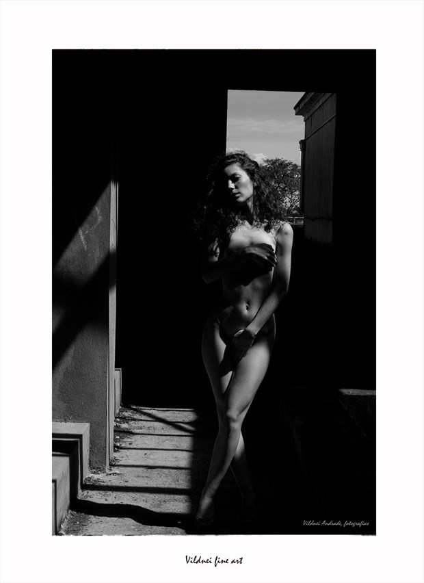 SOLARIUM Artistic Nude Artwork by Artist VILDNEI ANDRADE