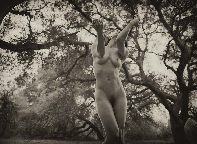 Sage Ranch Study %231 Artistic Nude Photo by Photographer allenbirnbach