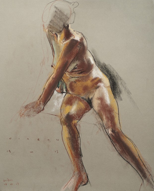 Sandra against the light Artistic Nude Artwork by Artist Ciaran Taylor