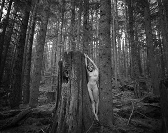 Sappling Artistic Nude Photo by Photographer Ron Skei (RonChez)