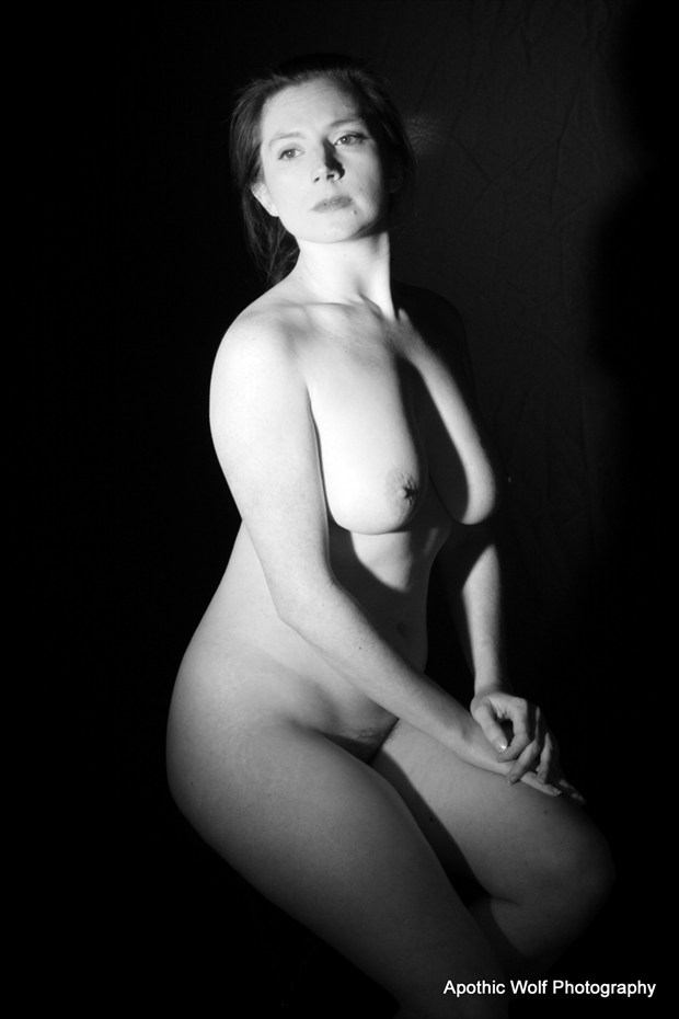 Sarah Lynn Artistic Nude Artwork by Photographer A W Photography.