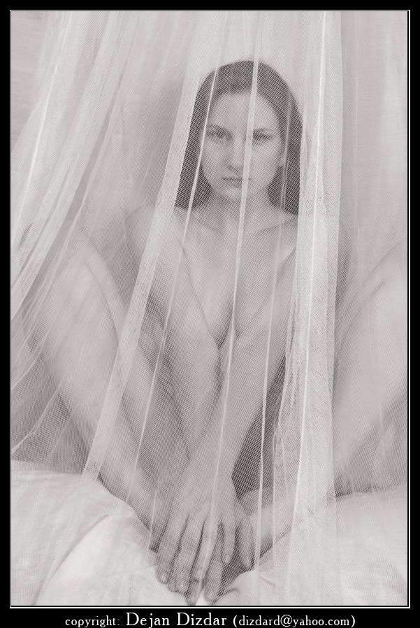 Sasha Artistic Nude Photo by Photographer CDAstudio