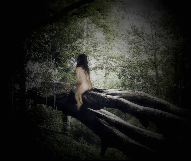 Scenes from a Suburban Wood  Artistic Nude Photo by Photographer Marty C 