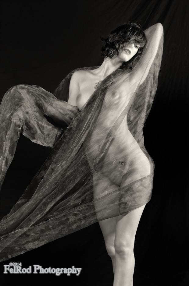 Seduction Artistic Nude Photo by Photographer FelRod 