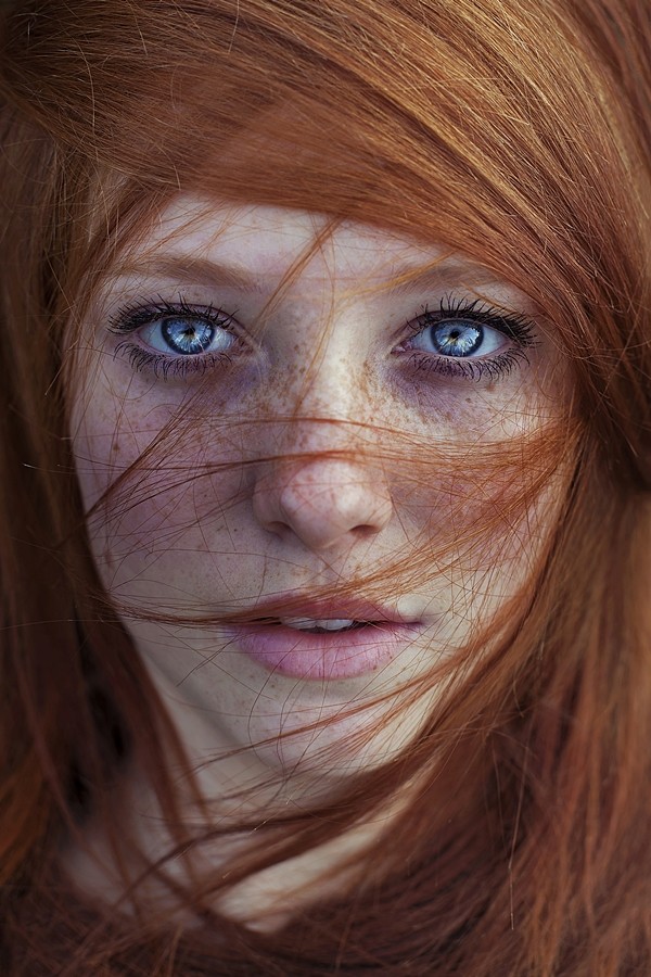 See through Close Up Photo by Photographer Maja Topcagic