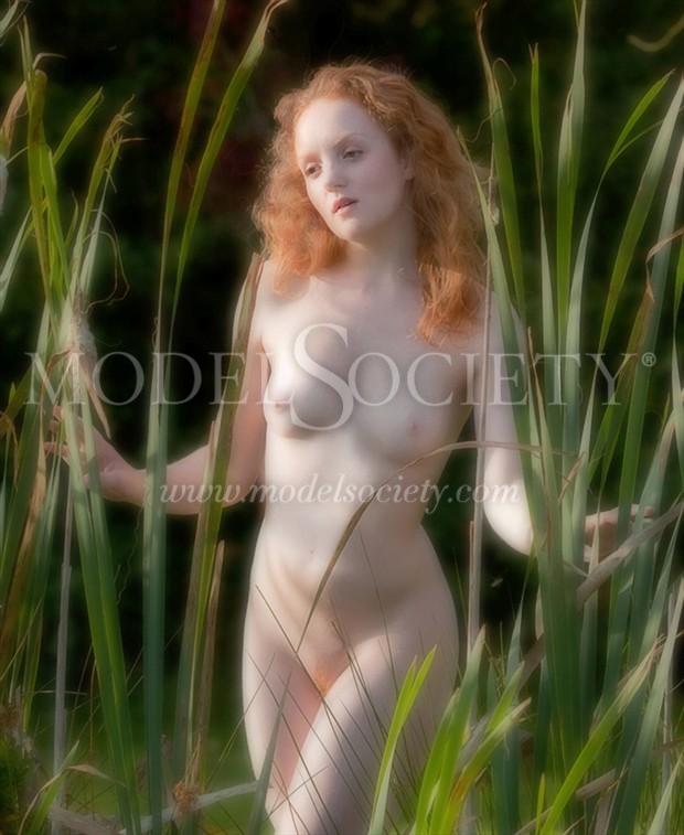 Seen through the reeds Figure Study Photo by Photographer Jayes67