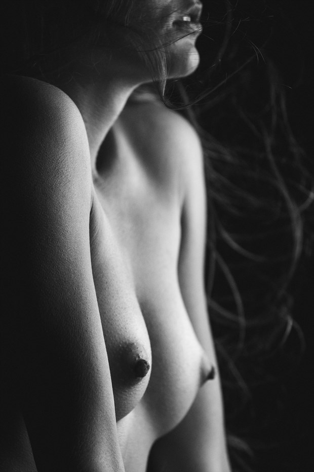 Sensual Beauty Artistic Nude Photo by Photographer Martin Krystynek