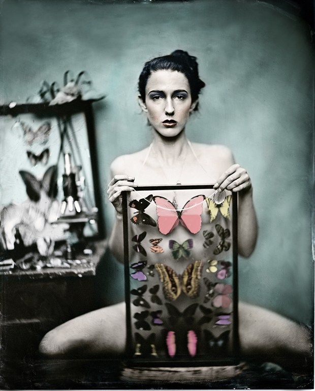 Series: The Butterfly Collector Artistic Nude Photo by Photographer Nalla Senrab