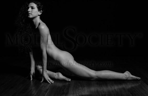 Set  Artistic Nude Photo by Photographer FelRod 