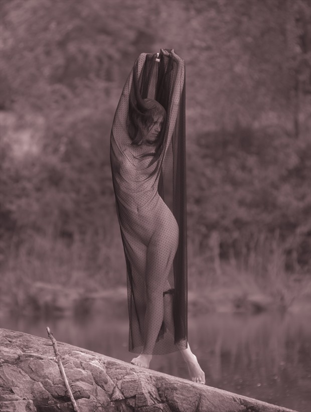 Shade Artistic Nude Photo by Model Arshae Morningstar