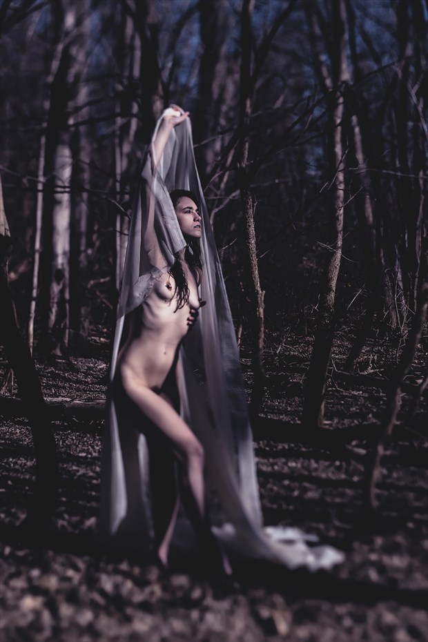 Shaded Artistic Nude Photo by Photographer TateChmielewski