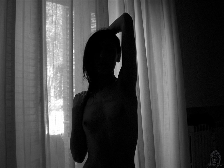 Shadow Artistic Nude Photo by Model Glemt Grav