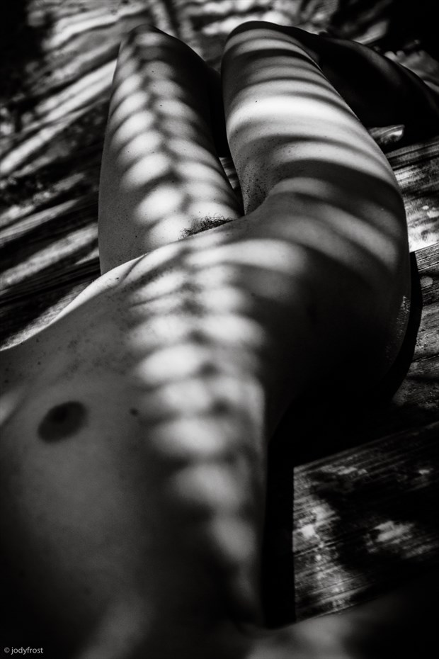 Shadow Play Artistic Nude Photo by Photographer jody frost