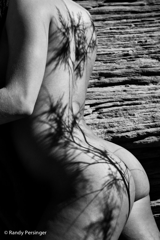 Shadow Tattoo Artistic Nude Photo by Photographer Randy Persinger