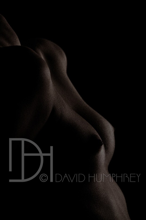Shadow of Desire Artistic Nude Photo by Photographer David Humphrey