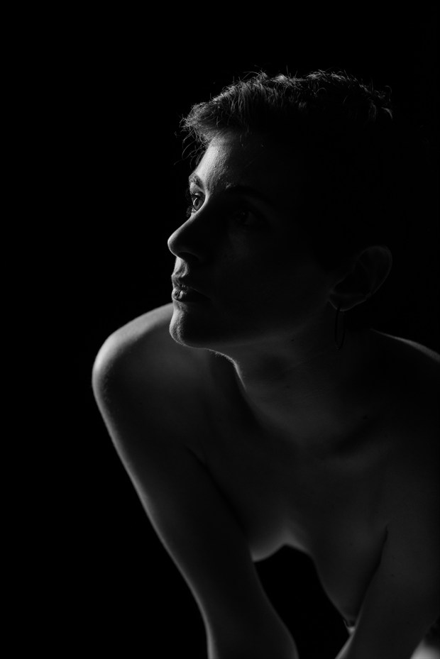 Shadows 2 Artistic Nude Photo by Model Whitney Masters