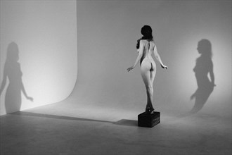 Shadows Artistic Nude Photo by Photographer Michael Jenkins