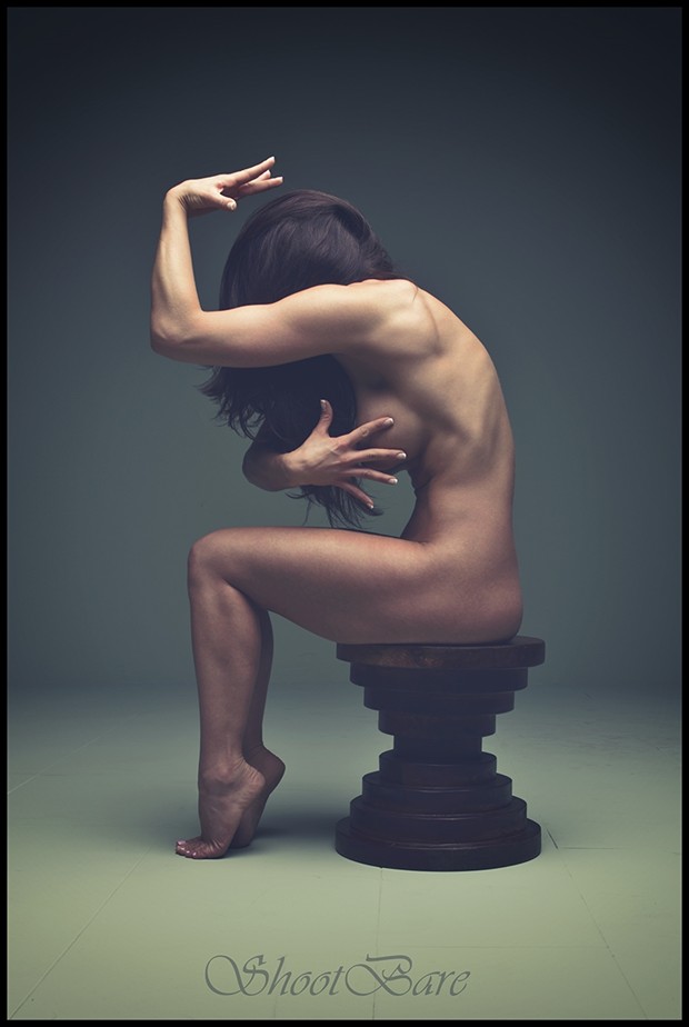 Shaped with curves Artistic Nude Artwork by Model Ceara Blu