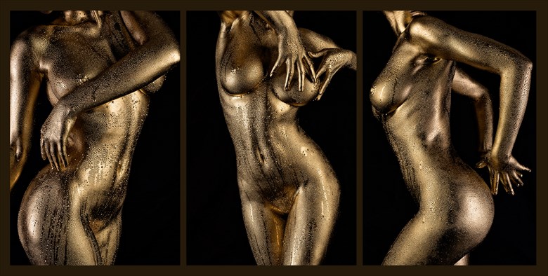 Shasta Gold VI Artistic Nude Artwork by Photographer Dan West