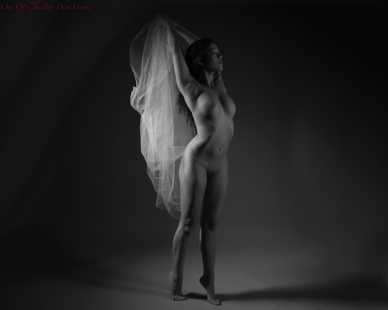 Sheer Mood Artistic Nude Photo by Photographer Miller Box Photo