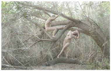 Shelter beneath crumbling branches Artistic Nude Photo by Photographer balm in Gilead